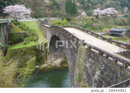 霊台橋と満開の桜（熊本県美里町） 39044961