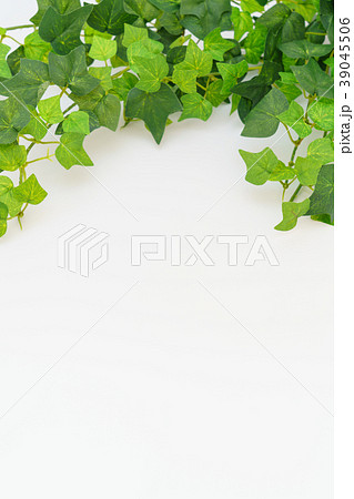 背景素材 39045506