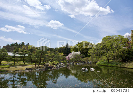 名古屋市　4月の白鳥庭園 39045785
