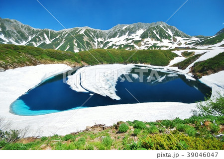 立山　初夏 39046047