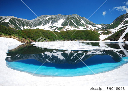 立山 初夏 立山 初夏 39046048