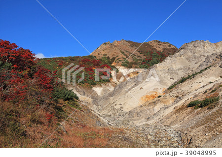 浄土平 紅葉の写真素材