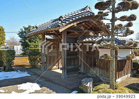 見沼田圃:照光寺 見沼田圃:照光寺 39049925