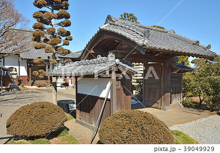見沼田圃：照光寺　 39049929