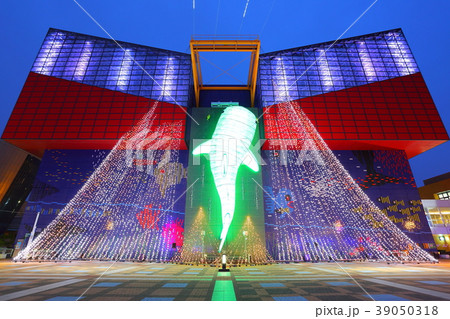 海遊館イルミネーション 39050318