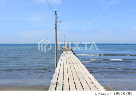 原岡桟橋(南房総市) 原岡桟橋(南房総市) 39050790