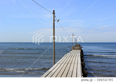 原岡桟橋(南房総市) 原岡桟橋(南房総市) 39050795