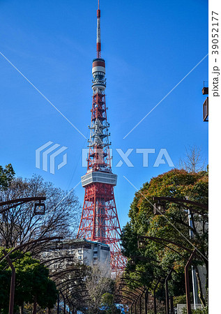 芝公園と東京タワー 芝公園と東京タワー 39052177