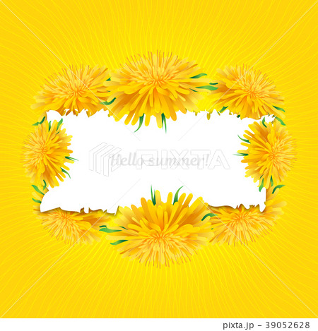 Summer card Dandelions isolated, yellow sun 39052628