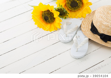 ひまわり 39054104