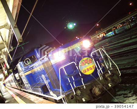 はまなす 39054147