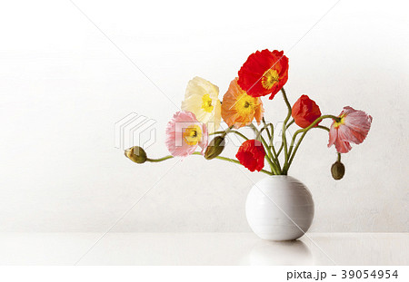 白い背景にポピー 39054954
