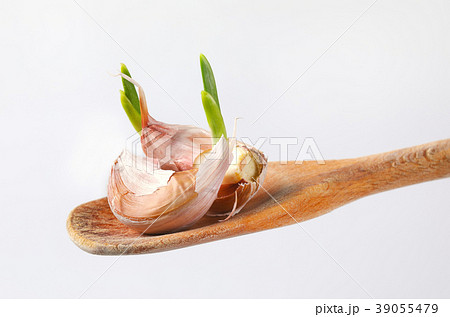 cloves of fresh garlic cloves of fresh garlic 39055479