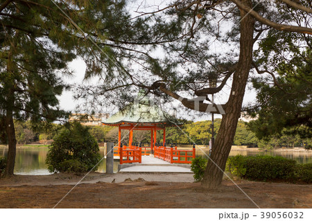 福岡市大濠公園 福岡市大濠公園 39056032