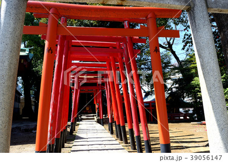 品川神社(阿那稲荷神社) 品川神社(阿那稲荷神社) 39056147