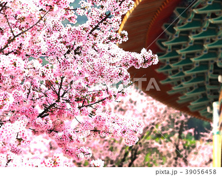 台湾 台北 台北市 39056458