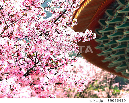 台湾 台北 台北市 39056459