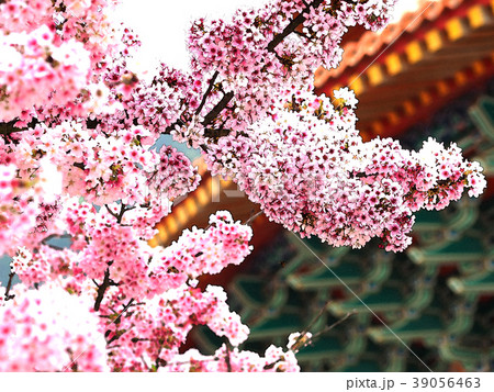 台湾 台北 台北市 39056463