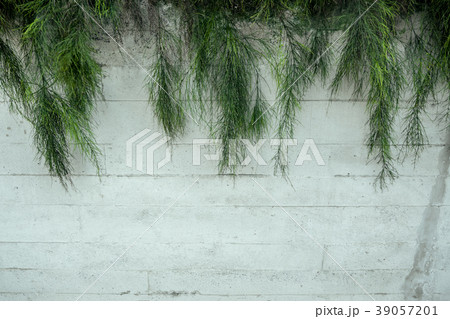 Green vertical garden with white brick wall fence 39057201