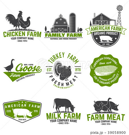 American Farm Badge or Label. Vector illustration. 39058900