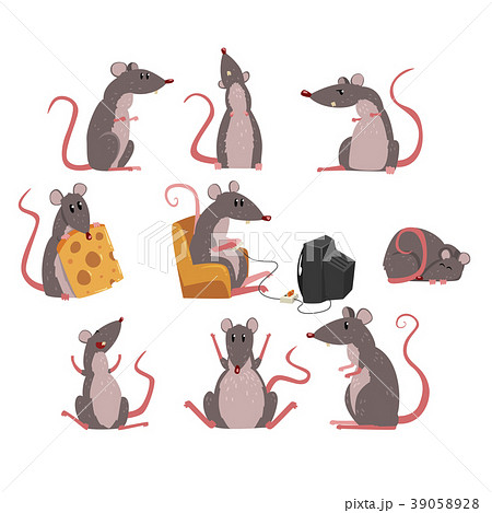 Cute grey mouse set, funny rodent character in 39058928