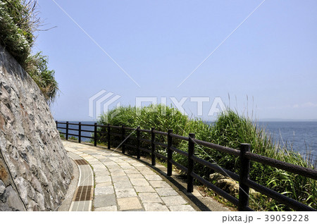 海辺をめぐる小径 39059228
