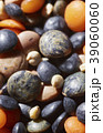 macro shot of mixed legumes 39060060