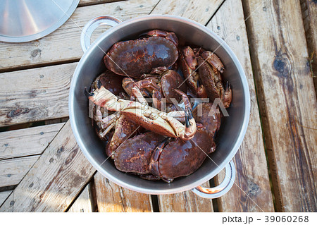 pan full of crabs on wooden table pan full of crabs on wooden table 39060268