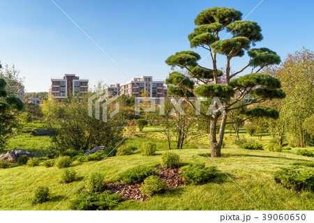 Beautiful park in a modern town Beautiful park in a modern town 39060650