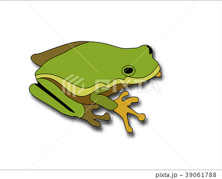 Cartoon big green frog on white background Cartoon big green frog on white background 39061788