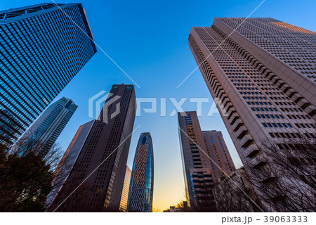 夜明け直後の新宿のビル群　It's getting light in Shi 39063333