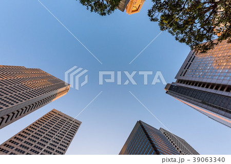 夜明け直後の新宿のビル群　It's getting light in Shi 39063340