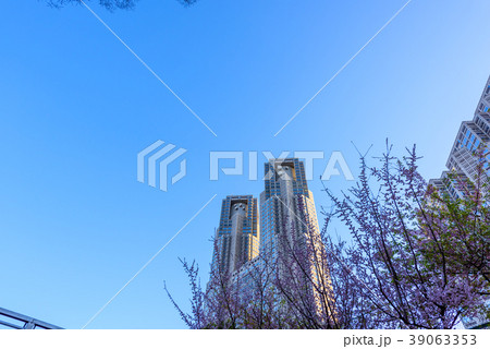 夜明け直後の新宿のビル群　It's getting light in Shi 39063353