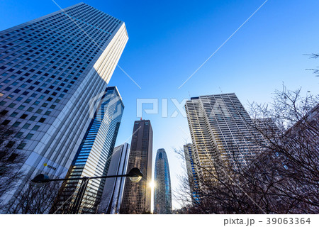 夜明け直後の新宿のビル群　It's getting light in Shi 39063364
