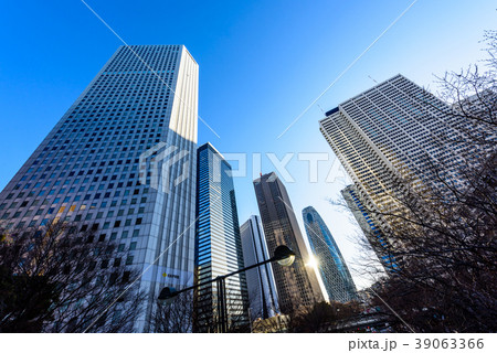 夜明け直後の新宿のビル群　It's getting light in Shi 39063366