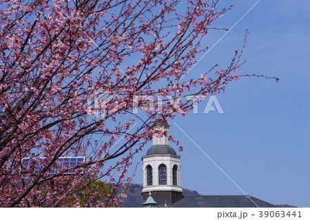 桜とドイツ館 39063441