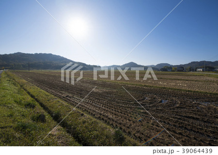 収穫後の田園　（兵庫県　播磨地区） 39064439