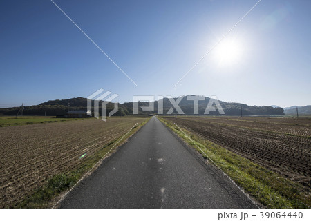 まっすぐな道 兵庫県 播磨地区 の写真素材