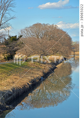 見沼田圃:芝川の流れ 見沼田圃:芝川の流れ 39065022