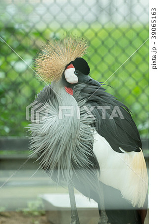 到津の森公園 39065163