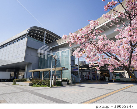 名古屋市東区 大曽根駅とカワヅザクラ 名古屋市東区 大曽根駅とカワヅザクラ 39065247