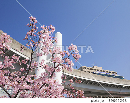 名古屋市東区　大曽根駅とカワヅザクラとゆとりーとライン 39065248