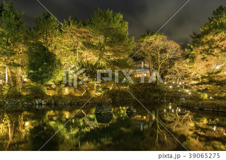 東山花灯路/円山公園 39065275