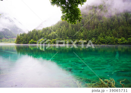 九塞溝 九塞溝 39065731