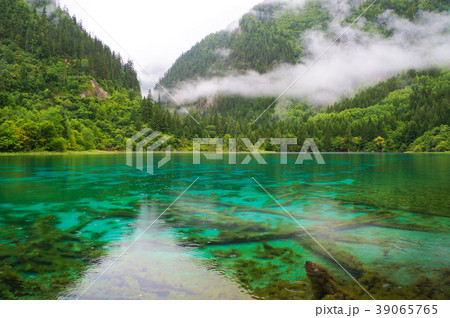 九塞溝 九塞溝 39065765