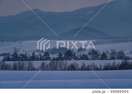 《北海道》冬の美瑛・日没の雪原風景 《北海道》冬の美瑛・日没の雪原風景 39066004