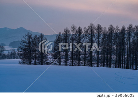 《北海道》冬の美瑛・日没の雪原風景 《北海道》冬の美瑛・日没の雪原風景 39066005