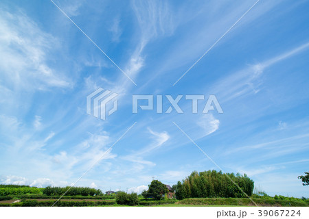 空 空 39067224