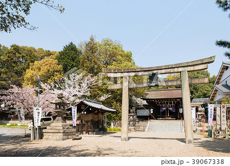 離宮八幡宮 39067338