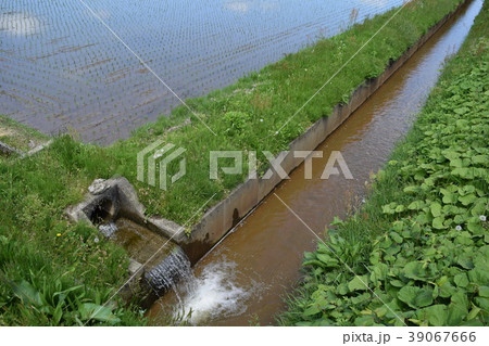 農業用水路 39067666